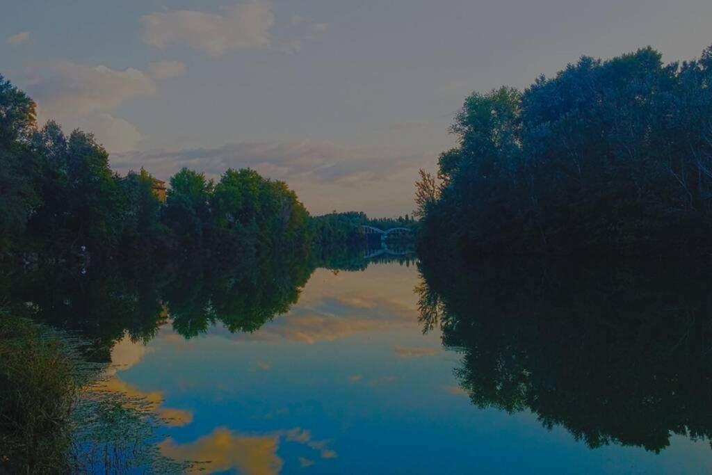 Studio Entre Cevennes Et Camargue Montfrin エクステリア 写真