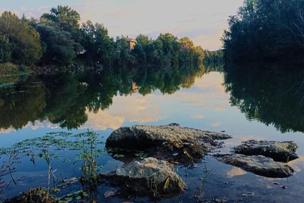Studio Entre Cevennes Et Camargue Montfrin エクステリア 写真